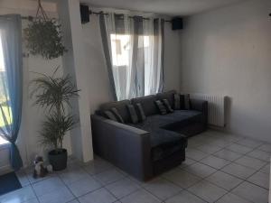 ein Wohnzimmer mit einem Sofa und einer Pflanze in der Unterkunft Le Petit Prince in Liévin
