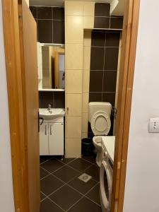 Koupelna v ubytování Najd apartment + 1 fotografie