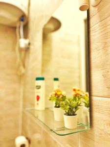 ein Glasregal mit Blumen und Flaschen im Bad in der Unterkunft Central Studio Flat in Budapest