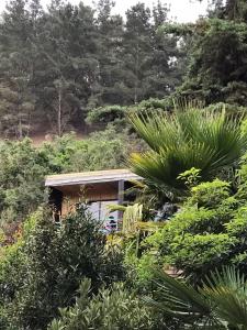 una pequeña casa en medio de un bosque en Lodge Los Bosques en Matanzas