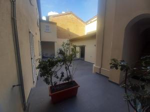 an empty hallway with potted plants in a building at Console Camprini Estates - Faenza Apartments 2 in Faenza