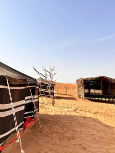 ein Zelt in der Wüste mit einem Kamel im Hintergrund in der Unterkunft Authentic Desert Camp - Al Wasil 