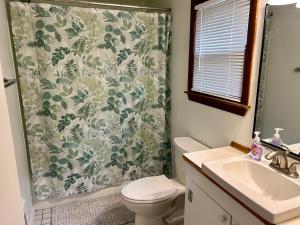 a bathroom with a shower curtain with a toilet and a sink at Traveler’s Den in Medford in Medford