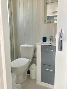 ein Bad mit einem WC und einem Waschbecken in der Unterkunft Studio bord de mer in Ouistreham