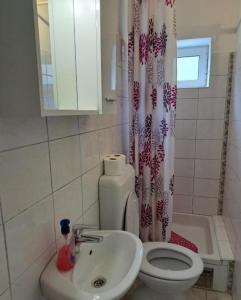 a bathroom with a toilet and a sink at Apartmani Ivano in Igrane
