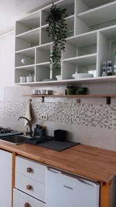 een keuken met witte planken en een aanrecht bij Jamie's Guest House in Roşu