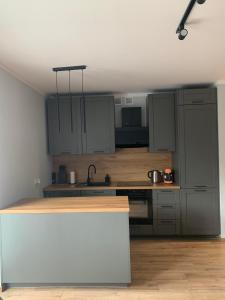 a kitchen with gray cabinets and a counter top at APARTAMENT DĘBOWY in Trzcianka
