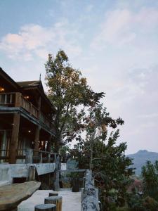 a building with a tree in front of it at WoodHouse Homestay Chiangrai in Ban Pha Lae Nua