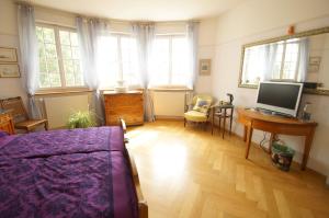 TV a/nebo společenská místnost v ubytování Bed and Breakfast Wildrose