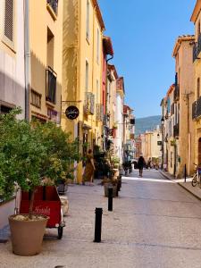 une rue urbaine vide avec des bâtiments et des arbres sur le trottoir dans l'établissement Maison Small Luxury ( planxa,suite,solarium,jacuzzi,pas de vis à vis), à Argelès-sur-Mer