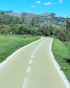 a winding road in the middle of a field at Pazzi Montanari house in Alfedena
