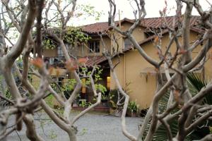 Taman di luar Hotel Posada Colchagua