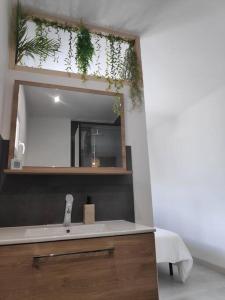 une salle de bain avec un lavabo et un miroir dans l'établissement Maison indépendante avec terrasse, jardin & parking privé, à Hérépian