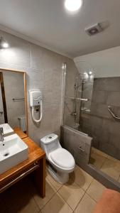 a bathroom with a toilet and a shower and a sink at Origenes Apartments in Puerto Natales