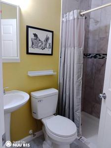 a bathroom with a toilet and a sink and a shower at Tranquility Place in Kannapolis