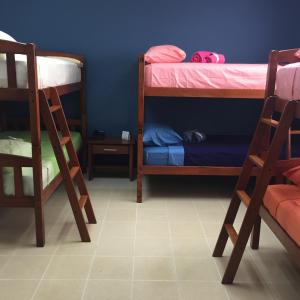 Cette chambre comprend 2 lits superposés et un mur bleu. dans l'établissement Panama Hat Hostel, à Panama City