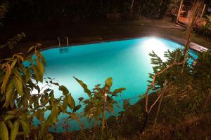 a swimming pool with blue water in a yard at El Guayabal de Mindo in Mindo