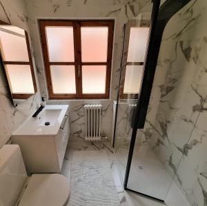 Un baño con inodoro, lavabo y ducha. en Vivienda Plaza Mayor, en León