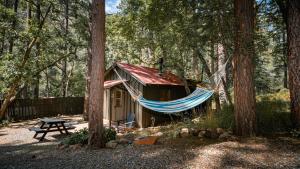 a hammock in front of a cabin in the woods at The Don Hoel Resort & Venue in Sedona