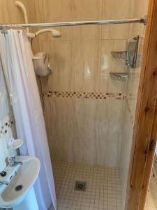 uma casa de banho com um chuveiro e um lavatório. em Garrenmore Lodge B&B em Tipperary