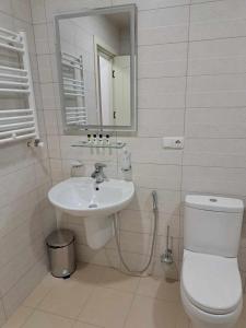 a bathroom with a sink and a toilet and a mirror at Gonadze Vineyards Hotel in Ambrolauri