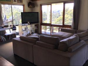 a living room with a couch and a flat screen tv at Valley Views in Montrose
