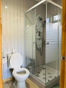 a bathroom with a toilet and a glass shower at Mehuín el Remanso de Paz in Mehuín +69 photos