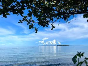 a view of the ocean from a tree branch at Island Front - Bangcogon Resort and Restaurant in Oslob