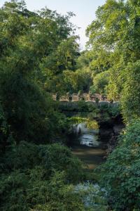 a bridge over a river in a forest at Secret Joglo Lebih in Lebih