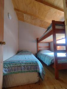 a bedroom with two bunk beds and a ladder at Cabaña Don Maxi in Puelo