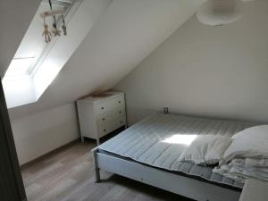 um quarto com uma cama e uma clarabóia em Velký dům s krásnou zahradou em Kobylí