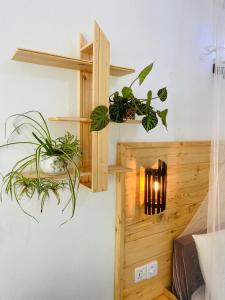 Fotografie z fotogalerie ubytování Mount Breeze Ella v destinaci Ella + 37 fotografií