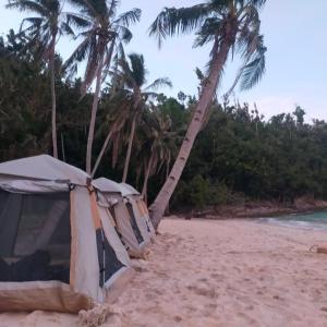 Port Barton Island Camping في سان فيسنتي: صف من الخيام على الشاطئ مع أشجار النخيل