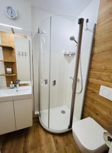 Koupelna v ubytování Ferienwohnung Gipfelblick Braunlage mit fantastischem Wurmbergblick