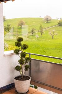 Gallery image of Ferienwohnung Weitblick mit Sauna in Daisendorf