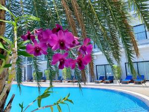 Bazén v ubytování KEP BAY HOTEL & RESORT nebo v jeho okolí