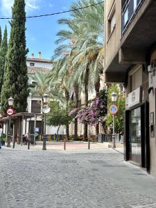 una calle adoquinada con palmeras y un edificio en Apartamentos la Catedral de Jaén, en Jaén