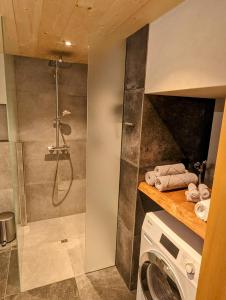 a bathroom with a shower and a washing machine at Chalet Grittelihus, large bathroom, Lots of living space, nahe Interlaken in Diemtigen
