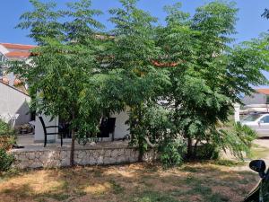 a tree with fruits on it in a yard at Vikendica Nika in Rab