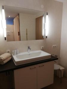 bagno con lavandino e specchio di Haus Ritter 286 a Schoppernau