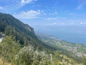 Blick auf ein Tal mit Bäumen und einem Wasserkörper in der Unterkunft Studio Myrtilles du Léman vue sur lac et montagne in Thollon