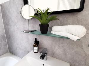 a bathroom with a sink with a mirror and a plant at BohnApartments Studio M City - Domplatz - WLAN - Vollausstattung in Erfurt