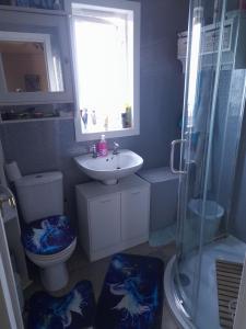 a bathroom with a toilet and a sink and a shower at Cichy I uroczy pokój in Newtongrange