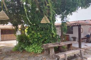 a tree with a bench in front of a building at Residencial Maria de Lourdes in Ibicoara