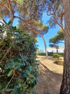 Billede fra billedgalleriet på Apartamento Roc Mar i Llafranc + 20 billeder