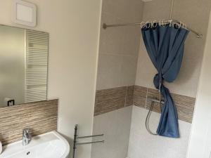 uma casa de banho com um lavatório e uma cortina de chuveiro azul em Duivenboshuisje em Herzele