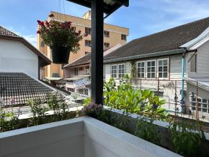 - un balcon avec des plantes et des fleurs dans un bâtiment dans l'établissement An‘s Home, à Chiang Mai