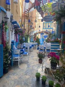 un restaurante con plantas y sillas azules y blancas en MAVİ PALAS HOTEL en Buyukada