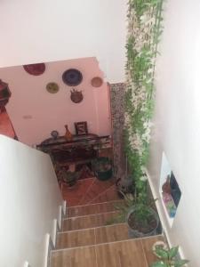 eine Treppe mit Topfpflanzen und einem Tisch in der Unterkunft Chez Fatima in Agadir