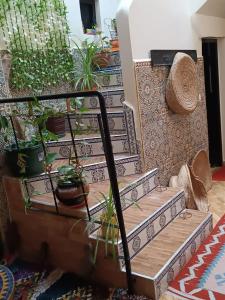 eine Gruppe Treppen mit Topfpflanzen darauf in der Unterkunft Chez Fatima in Agadir
